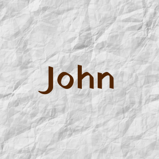 John Bible Author
