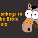 Donkeys in the Bible Quiz