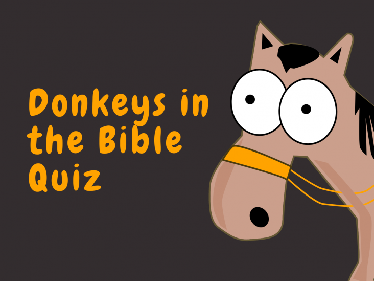 Donkeys in the Bible Quiz