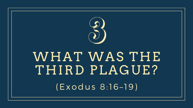 What was the third plague? (Exodus 8:16–19)