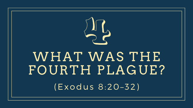 What was the fourth plague? (Exodus 8:20–32)