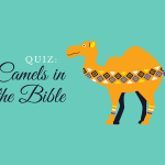 Quiz: Camels in the Bible
