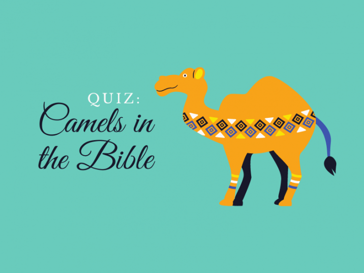 Quiz: Camels in the Bible