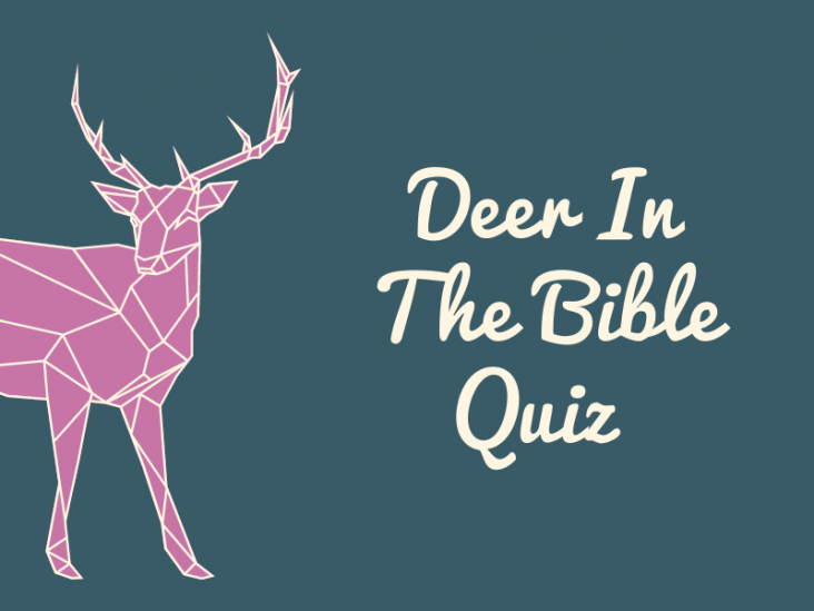 Quiz: Deer In The Bible