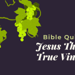 Bible Quiz: Jesus The True Vine