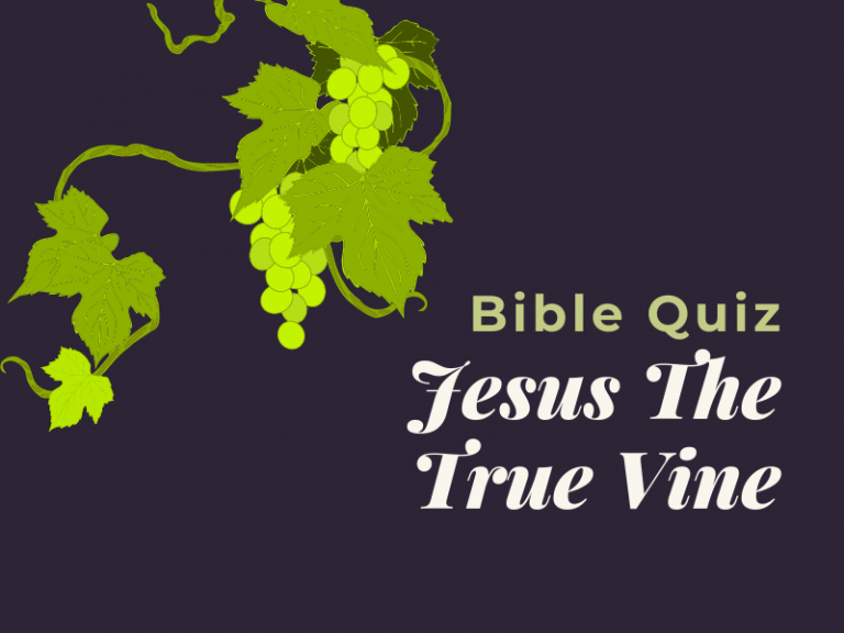 Bible Quiz Jesus The True Vine Bible Potato bible-quiz-jesus-the-true-vine-bible-potato
